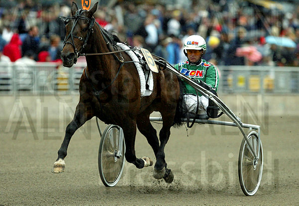 Zoccer platform visual