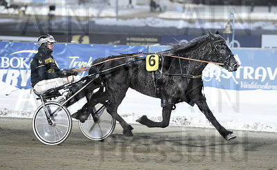 Backebelladonna heat.jpg