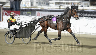 Julia Sweet Success heat.jpg