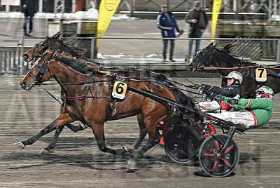 Nepenthe Boko mål DSC_1887.jpg