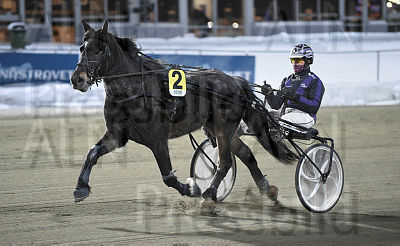 Oddjerven T.P, heat.jpg