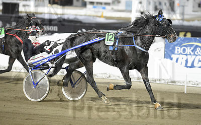 Yankee Blue heat.jpg